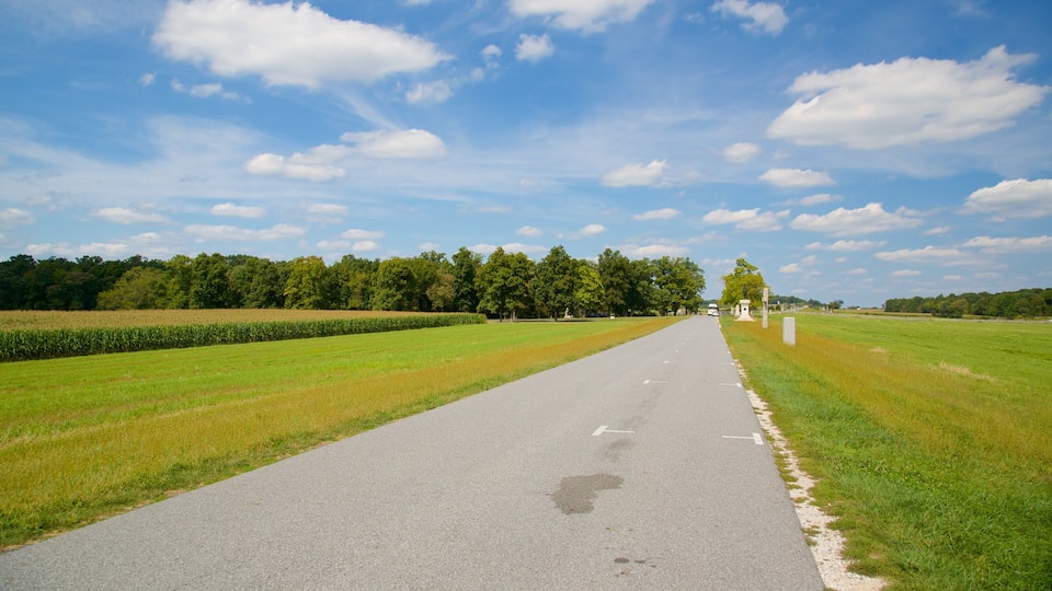 A rural road flanked by fields and trees under a clear sky.
