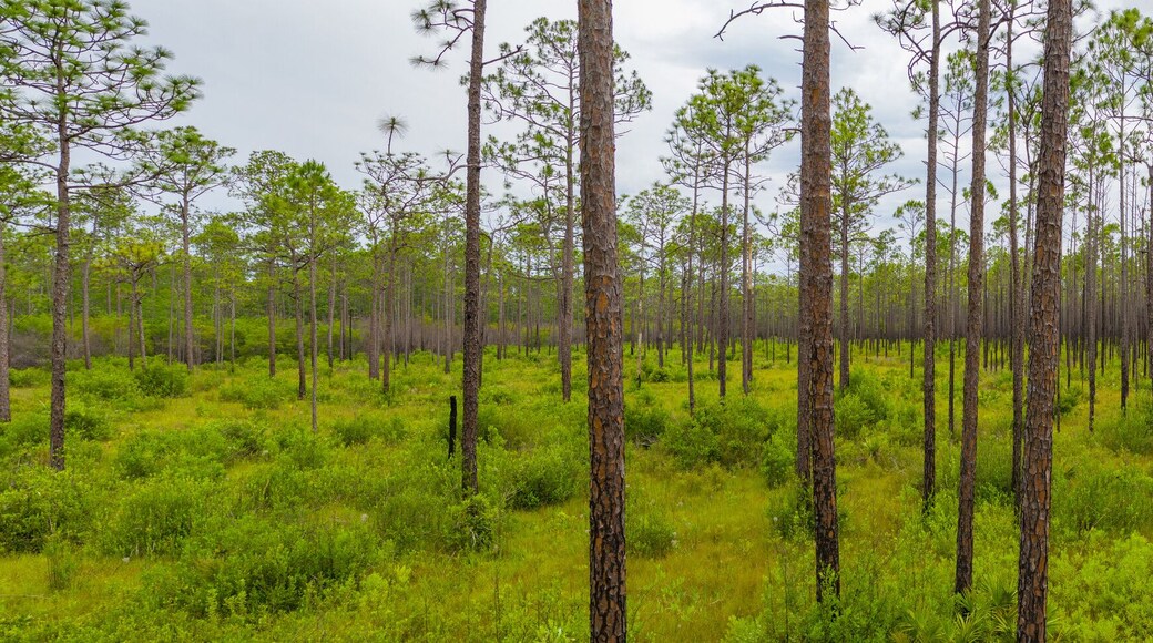 Camino Escénico de Big Bend