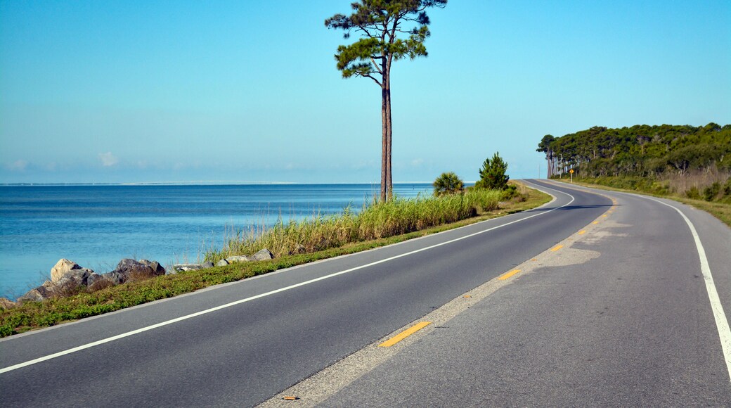 Camino Escénico de Big Bend