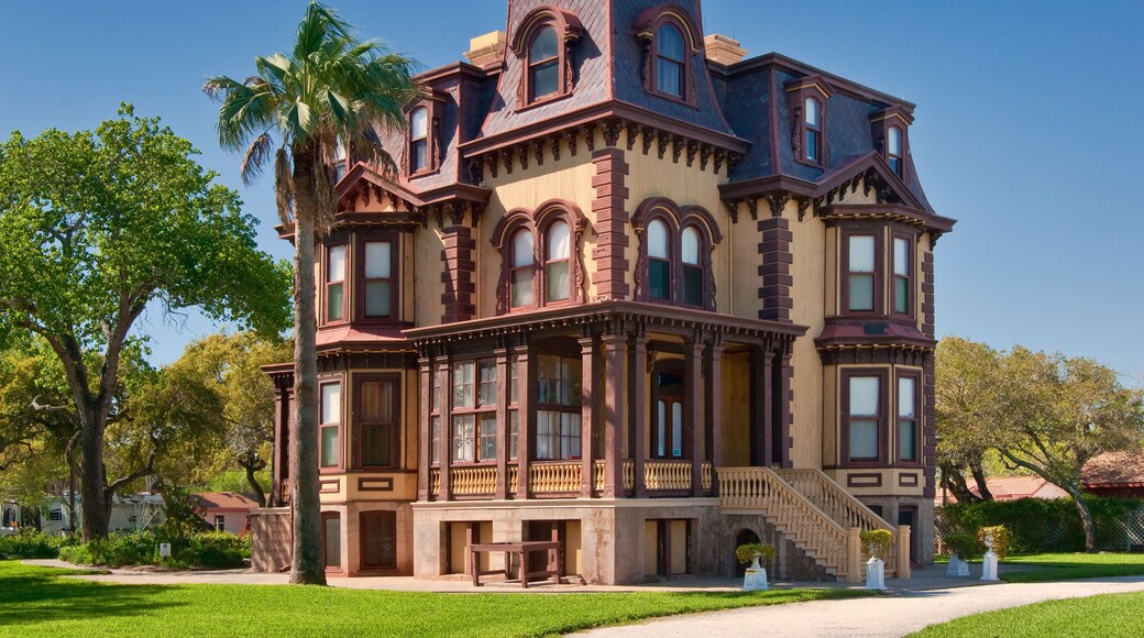 Sentiero Tropicale del Texas