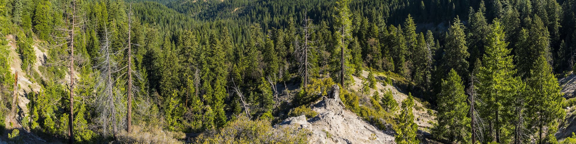 A mountainous landscape with dense forests and a clear blue sky.