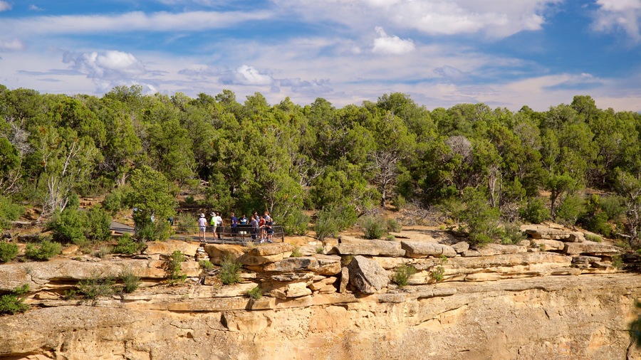 Trail of the Ancients showing views and tranquil scenes as well as a small group of people