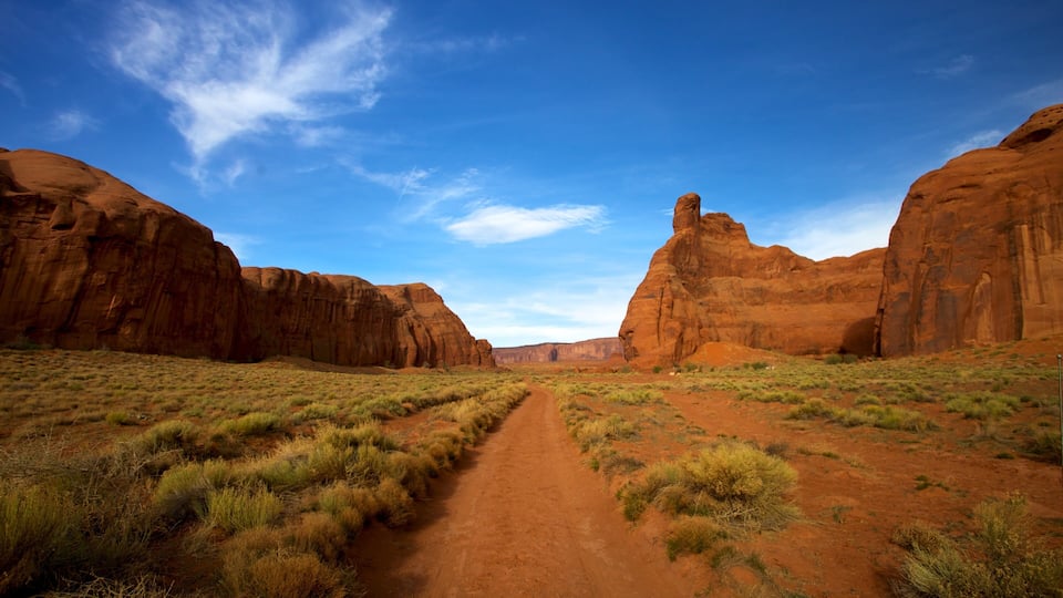 A desert landscape with a dirt path leading through a canyon with red rock formations.