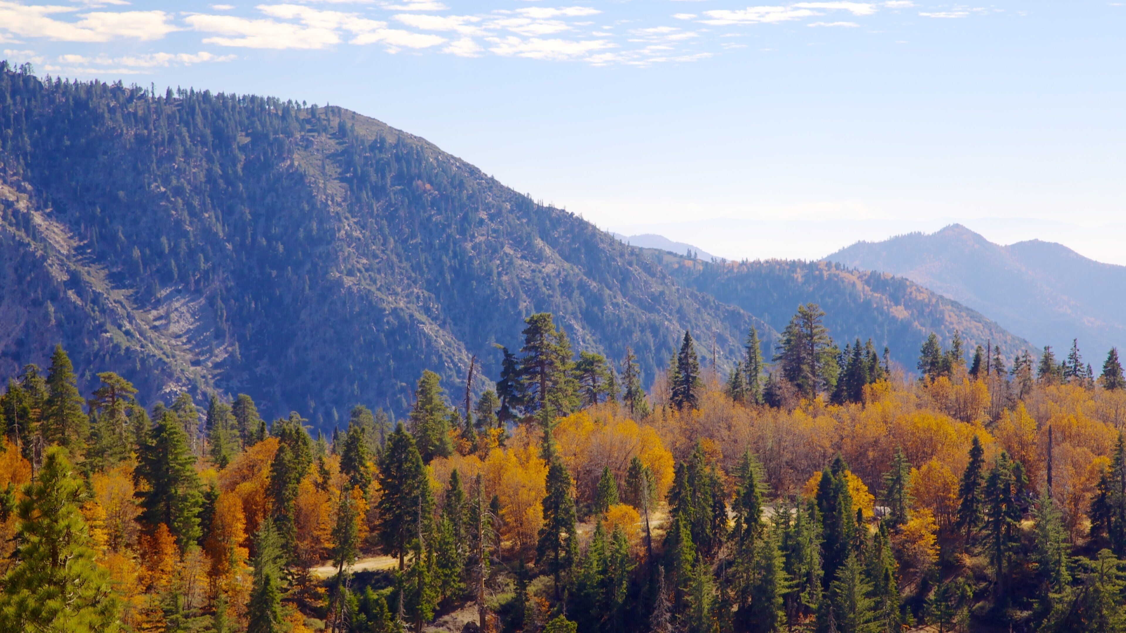 빅 베어 레이크 이 포함 숲 과 가을 색감