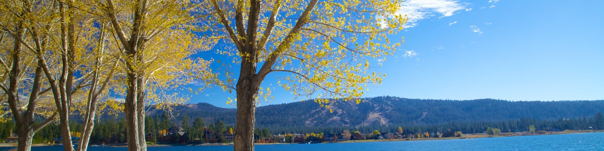 Big Bear Lake which includes a lake or waterhole