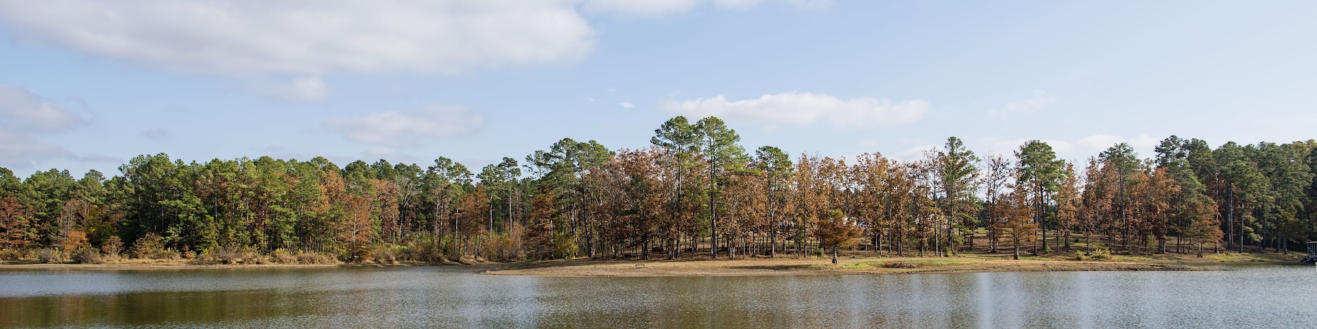A calm lake with a forested shoreline and a clear sky.