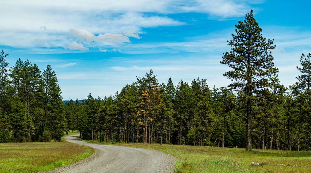 Blue Mountain Scenic Byway
