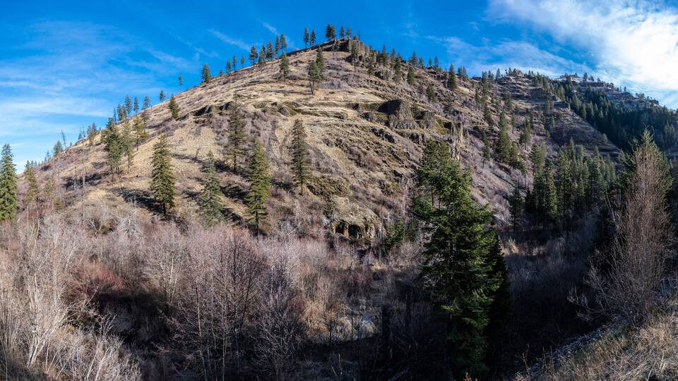 A mountain with sparse trees and a clear sky.