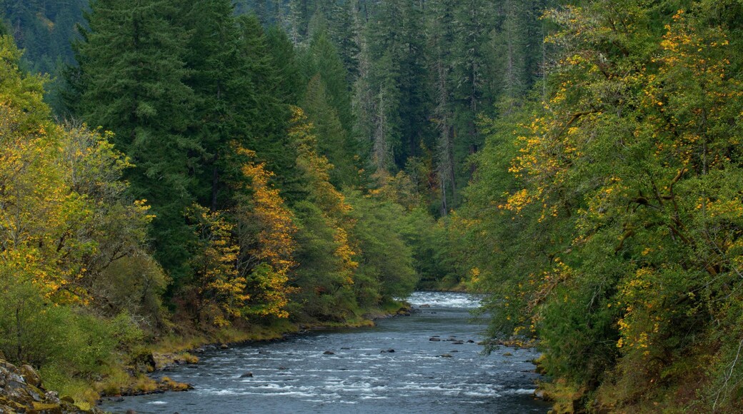 West Cascades Scenic Byway