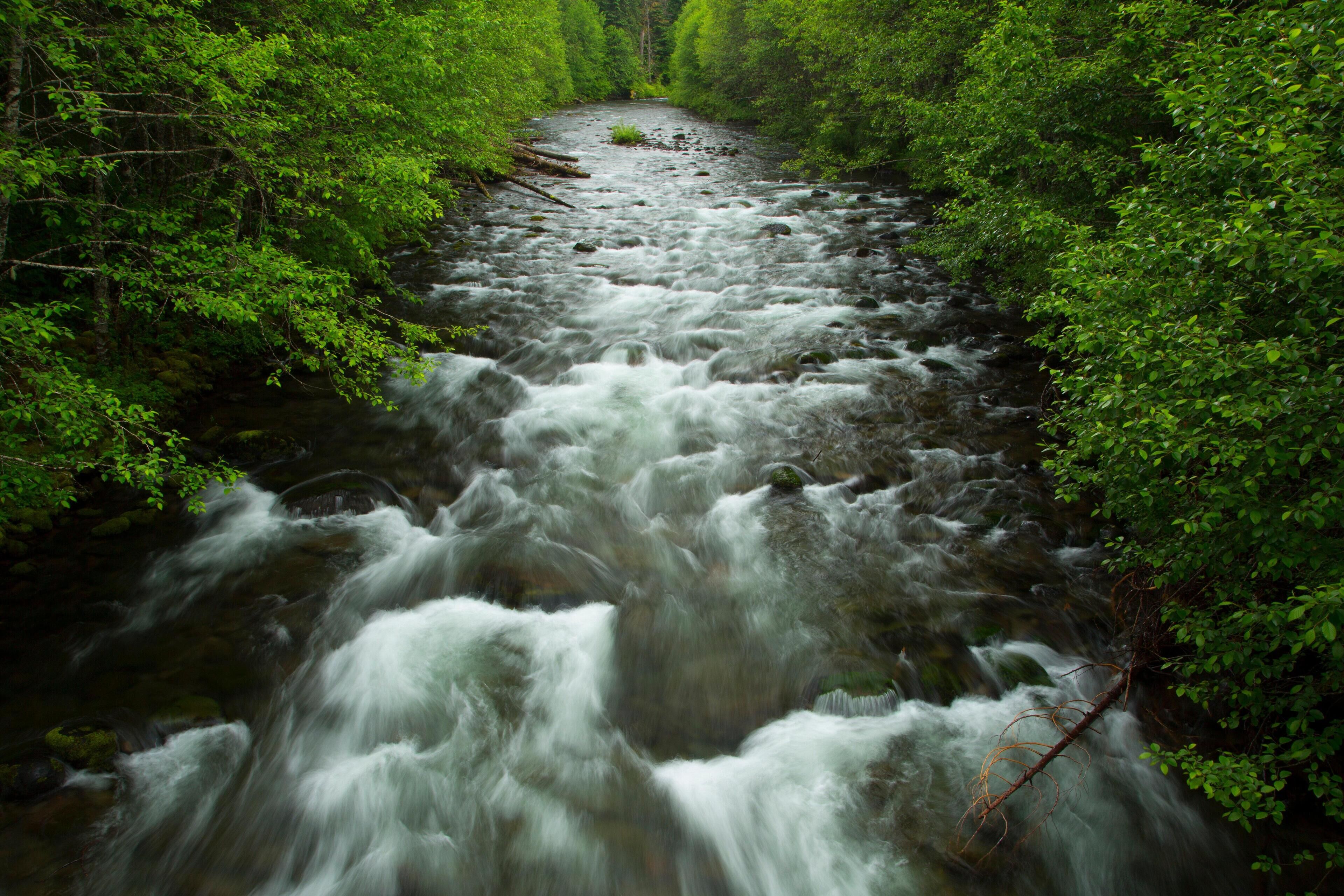 West Cascades Scenic Byway