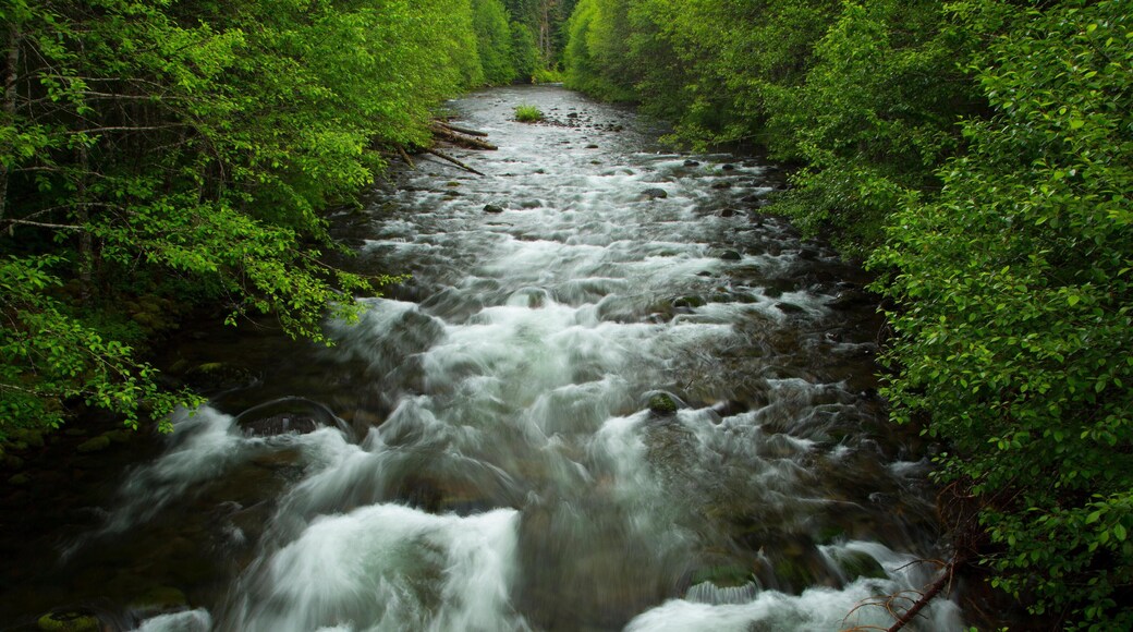West Cascades Scenic Byway