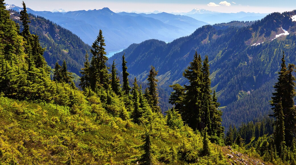 North Cascades Scenic Highway