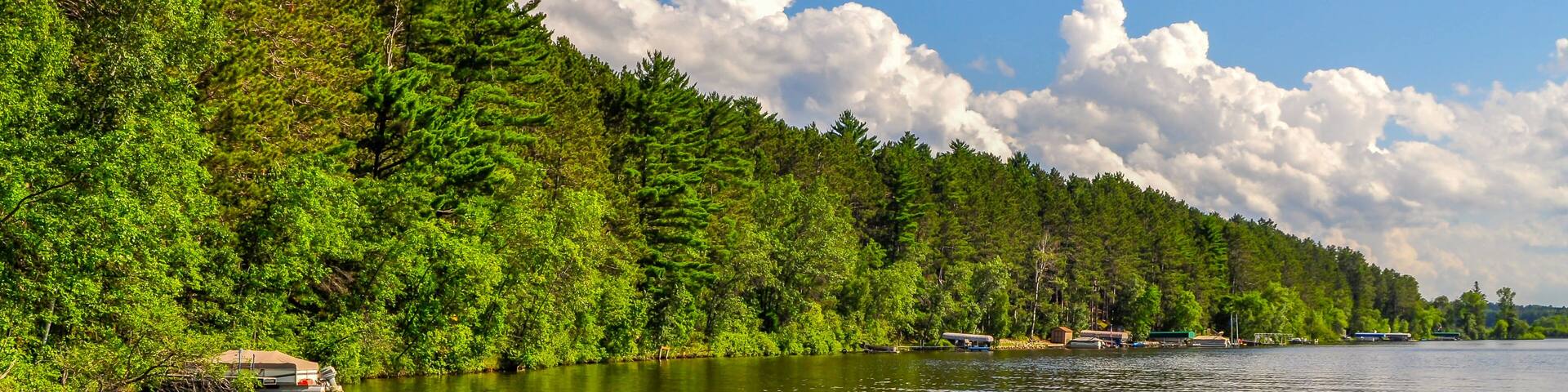 The Forested Shoreline of Sibley Lake in Central Minnesota