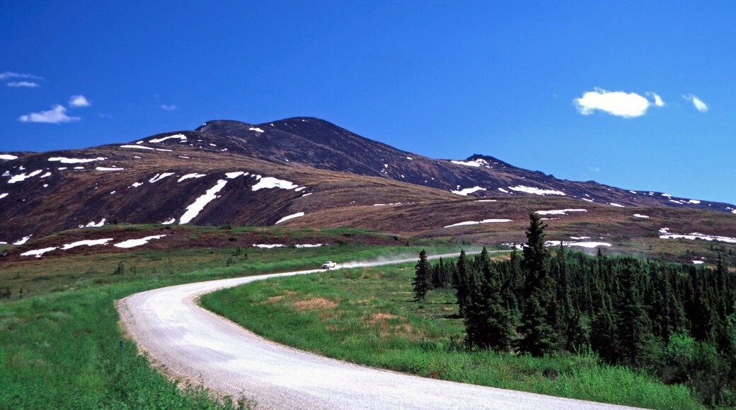 Taylor Top-of-the-World motorväg