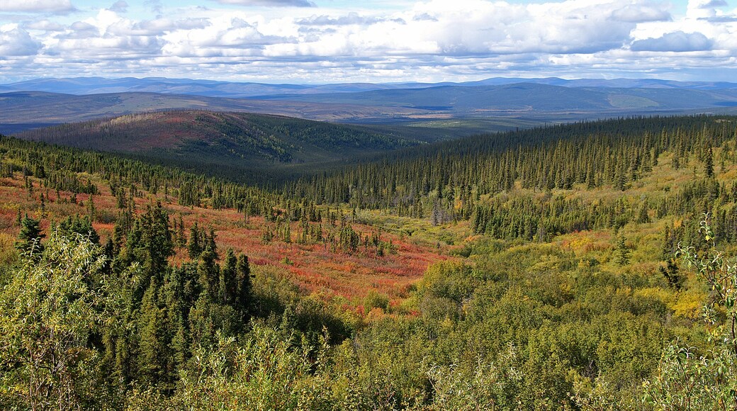 Taylor Top-of-the-World motorväg