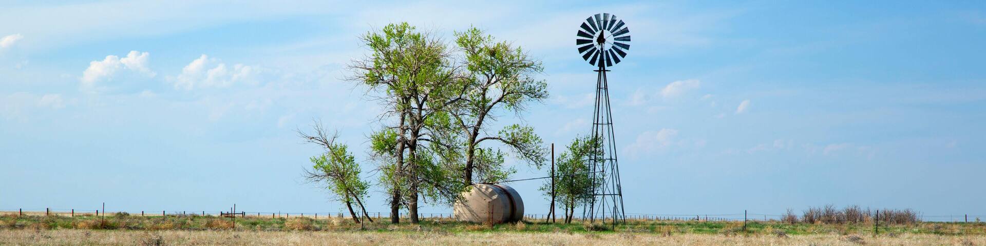 A windmill, trees, and a fenced field.