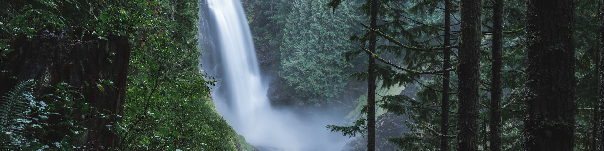 Uma cascata em uma floresta densa.