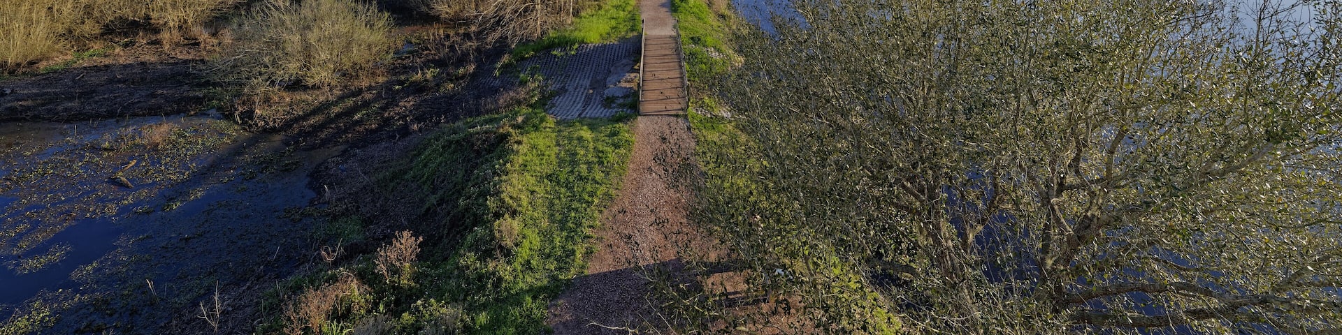 Looking down the straight Trail passing 40 Acre lake at the Brazos Bend State Park on a sunny evening in March.