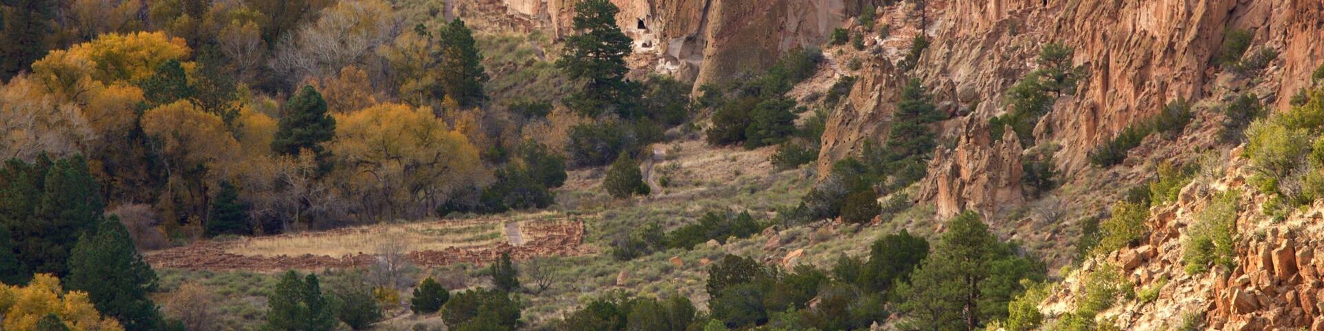 Jemez Mountain Trail which includes a gorge or canyon and tranquil scenes