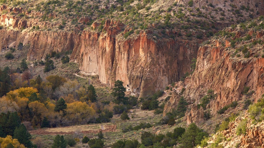 Jemez Mountain Trail which includes a gorge or canyon and tranquil scenes