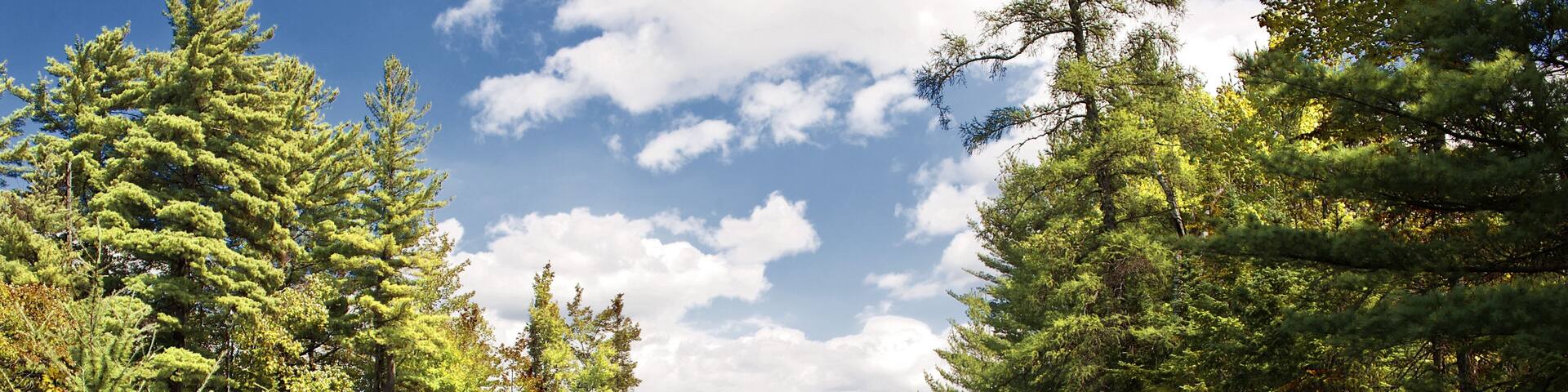 Blue Mountain Lake, Adirondack Park, Bundestaat New York, USA, Vereinigte Staaten, Nordamerika