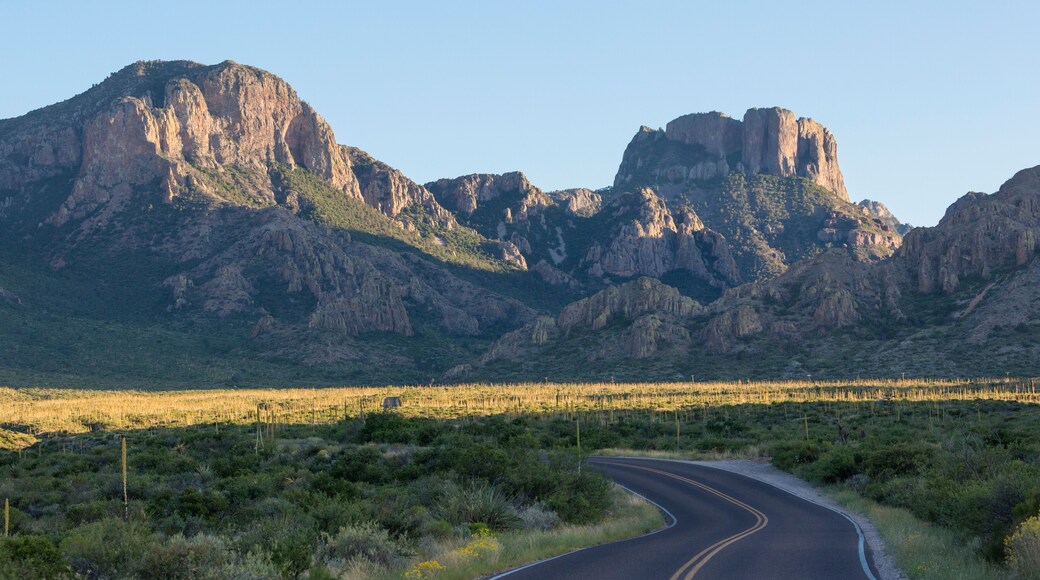 Desert landscape view of the Chisos Basin during the day in Big Bend National Park (Texas).; Shutterstock ID 1454473901; purchase_order: SP-2792; Order: ; client: ; job: Q1 Scenic Routes Purchasing