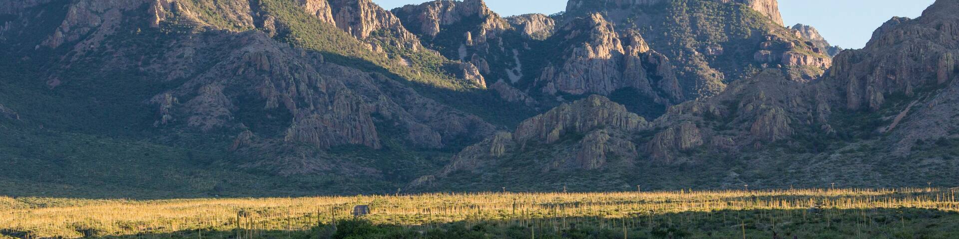 Desert landscape view of the Chisos Basin during the day in Big Bend National Park (Texas).; Shutterstock ID 1454473901; purchase_order: SP-2792; Order: ; client: ; job: Q1 Scenic Routes Purchasing