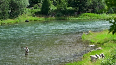 Unaweep Tabeguache Scenic and Historic Byway showing fishing and a river or creek as well as an individual male