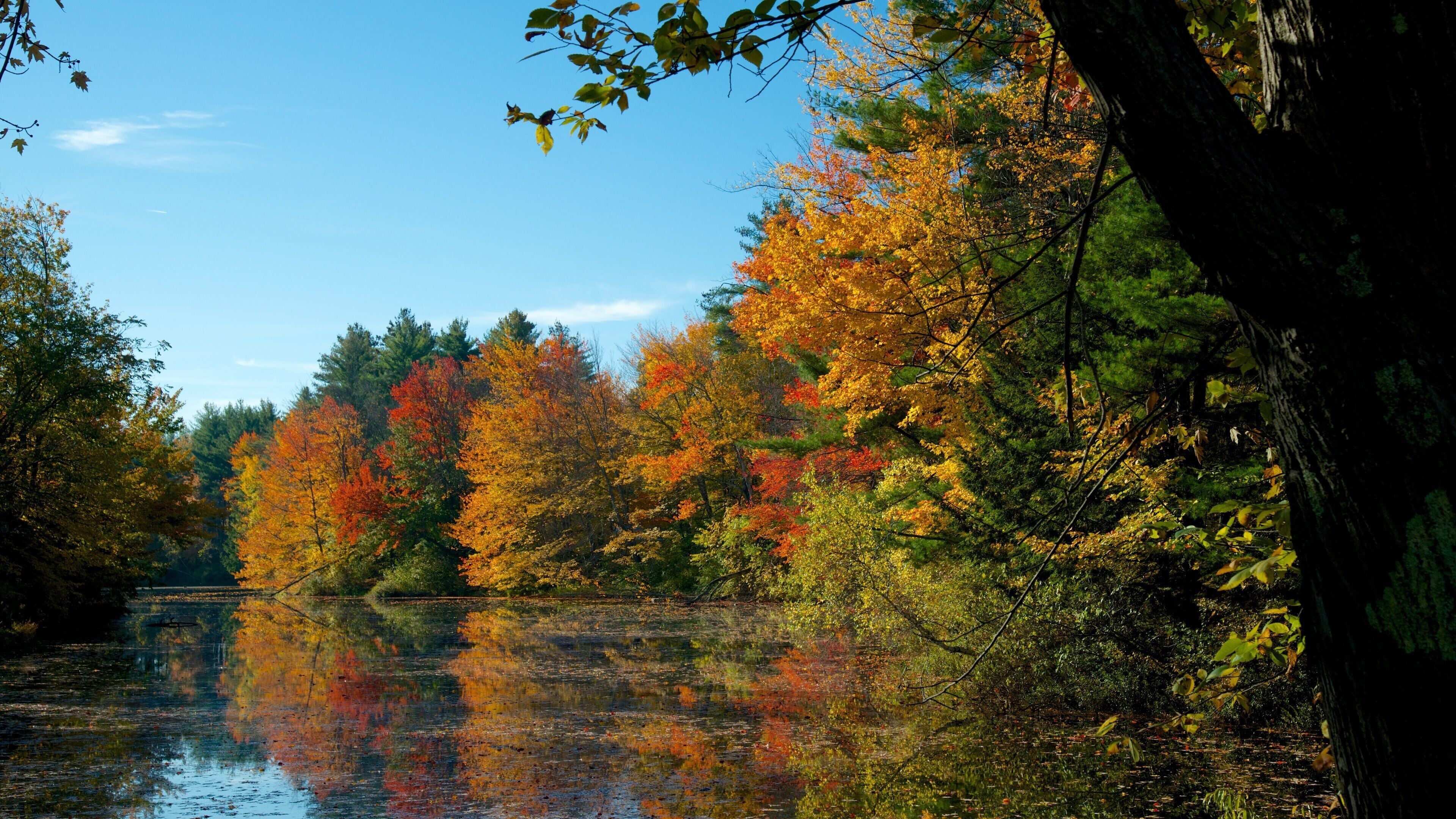 Presidential Range Tour showing a river or creek, autumn leaves and a lake or waterhole