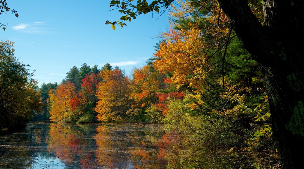 Presidential Range Tour showing a river or creek, autumn leaves and a lake or waterhole