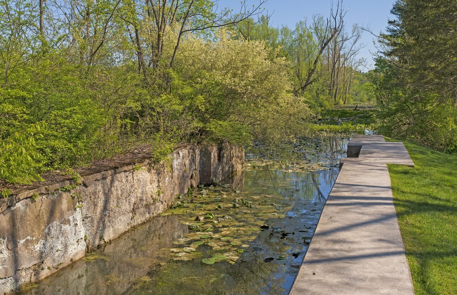 Ein Betonweg parallel zu einem schmalen Wasserlauf mit Seerosenblättern, umgeben von üppigem Grün und Bäumen.
