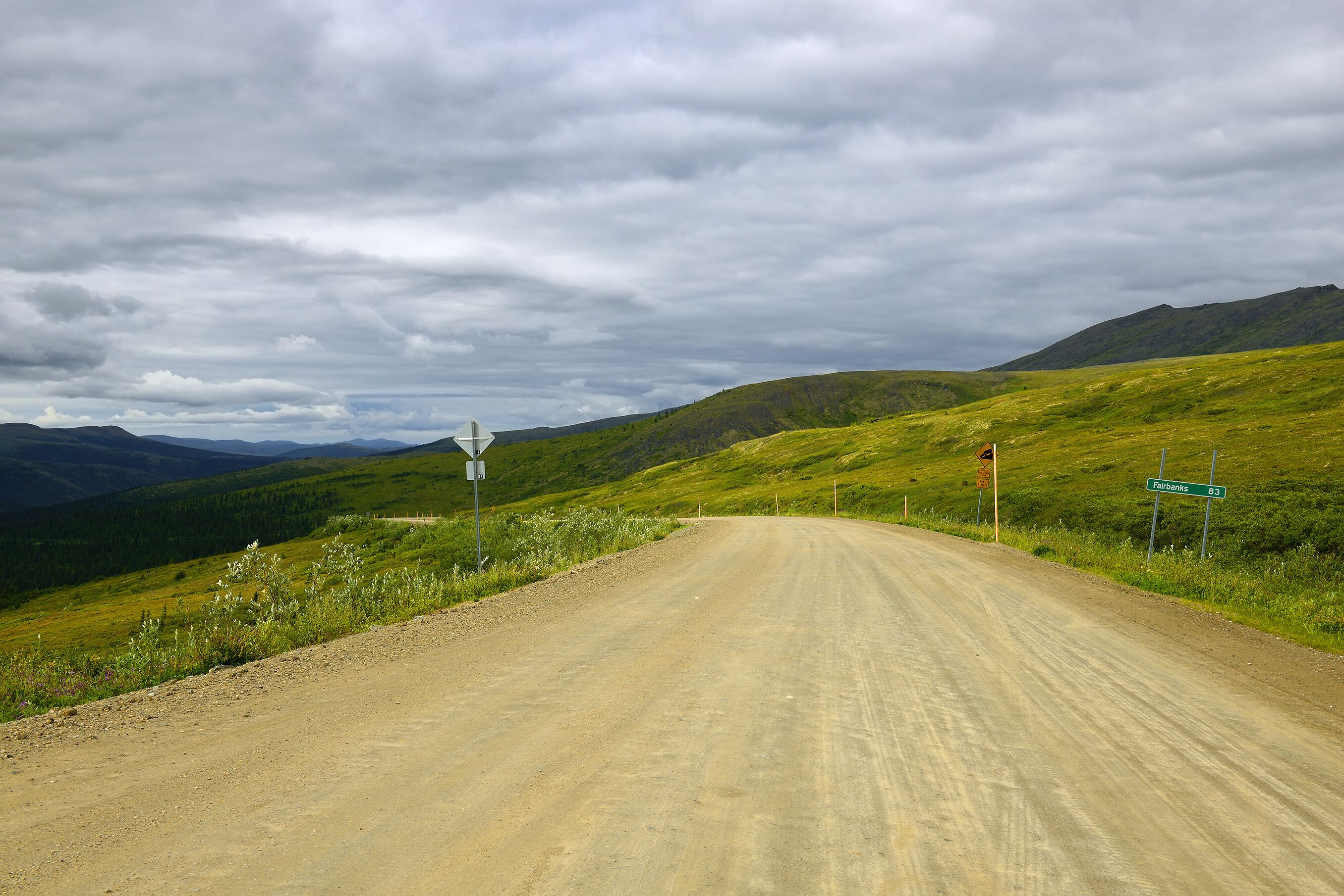 Steese highway, Fairbanks 83 mil, Pinnell Mountain, interior Alaska, USA