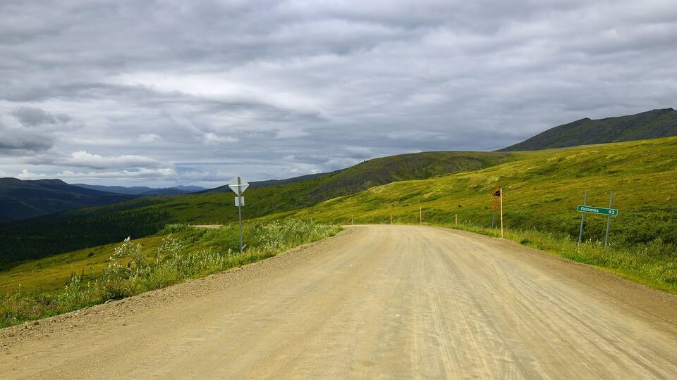 A dirt road winding through a hilly landscape with green grass and wildflowers.