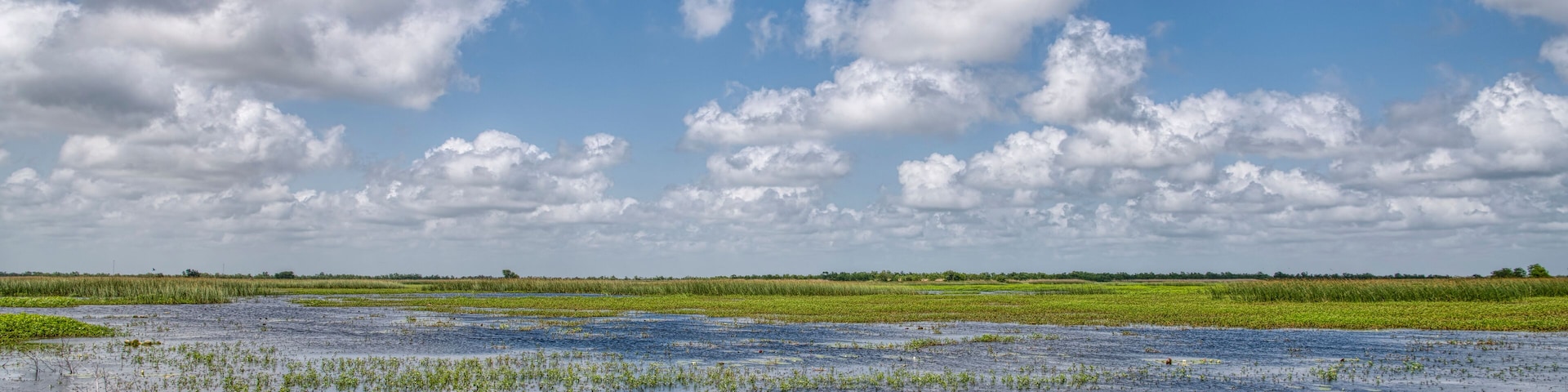 Wetlands of Coastal Louisiana in Cameron Parish; Shutterstock ID 1420030652; purchase_order: Scenic Routes Q4 Purchasing; Order: ; client: ; job: