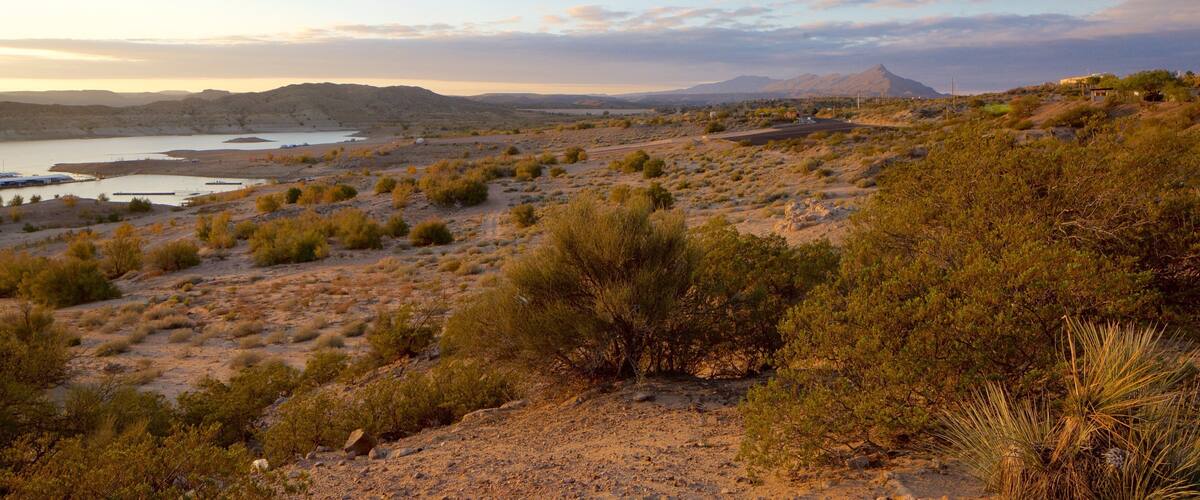 A desert landscape with sparse vegetation, a body of water, and distant mountains.