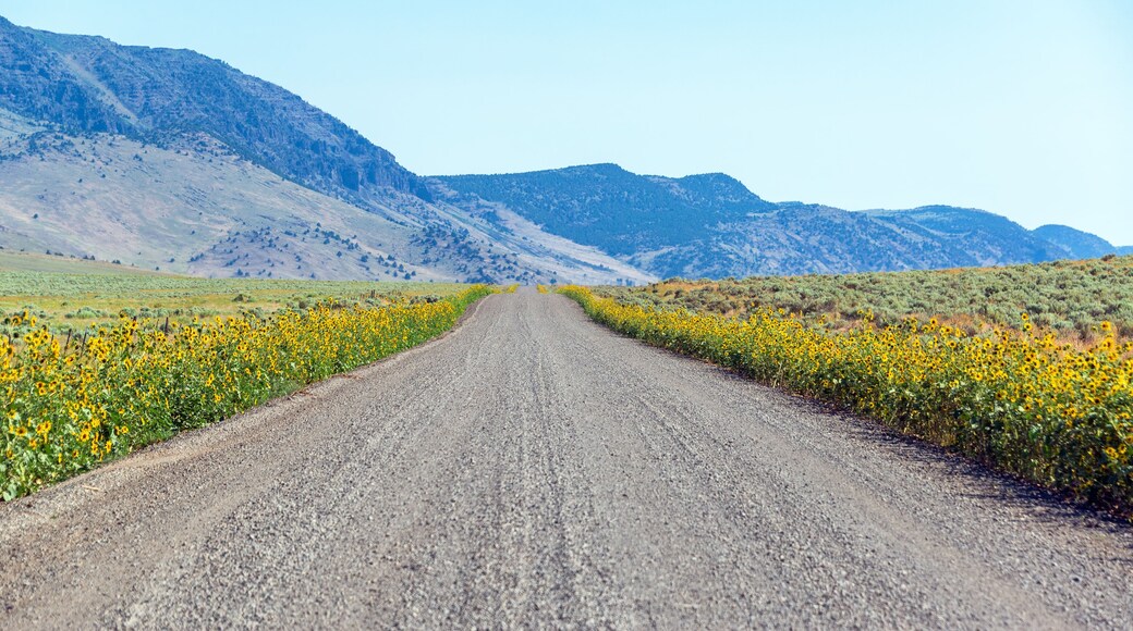 Ruta Turística del Este de Steens