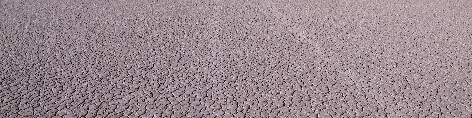Car trails on a playa of Alvord Desert, South Ogeron. Steens mountains in the background