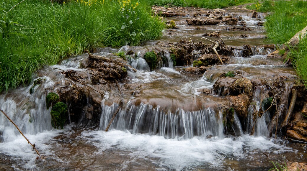 Camino Escénico del Área Sin Deriva