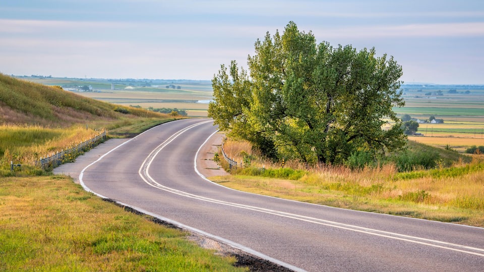 A curving country road with a tree on the right and fields in the background.