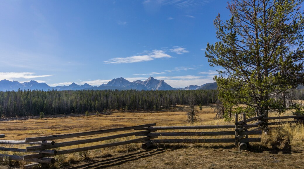 Log Fence Before Pine Forest, Sawtooth Mountains, and Blue Sky