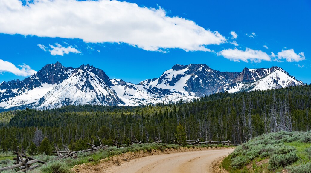 A dirt road leading to the Sawtooth Mountains