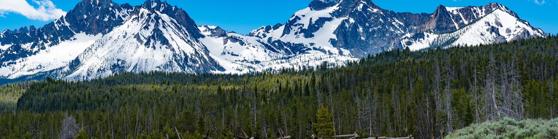 A dirt road leading to the Sawtooth Mountains