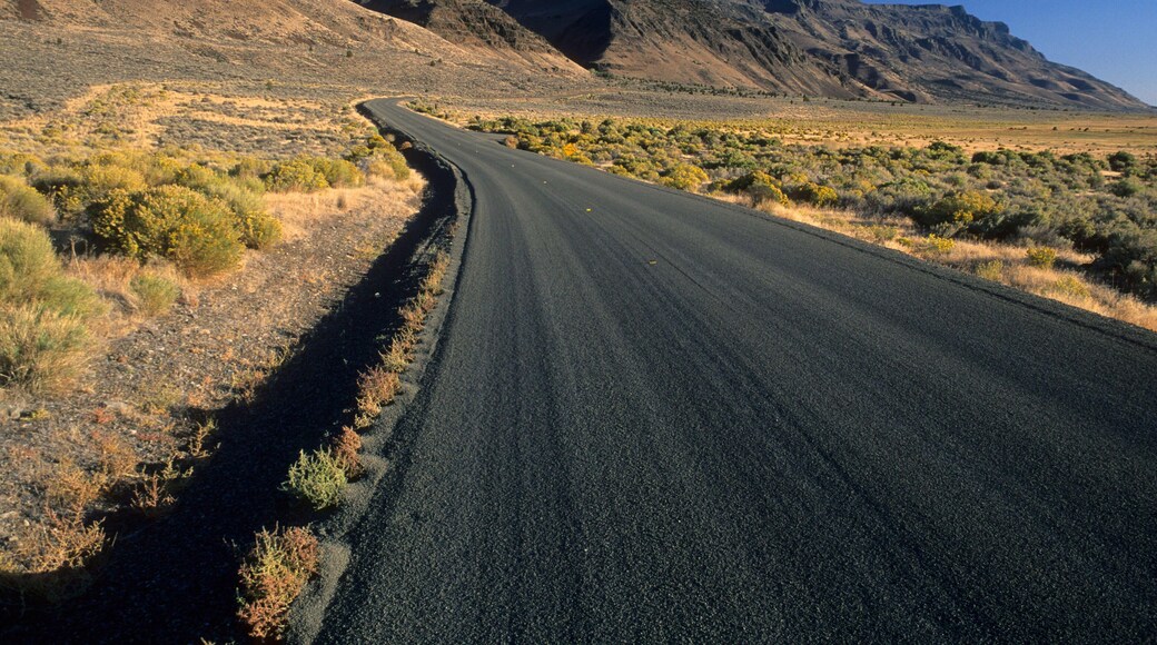 Camino Escénico del Campo de Lakeview a Steens Mountain