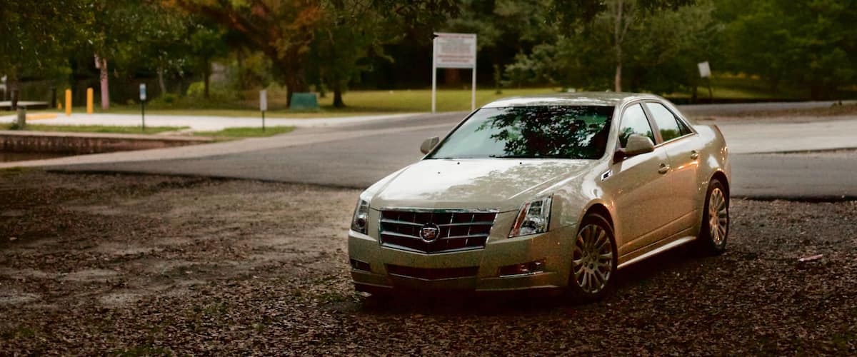 Jean Lafitte Scenic Byway