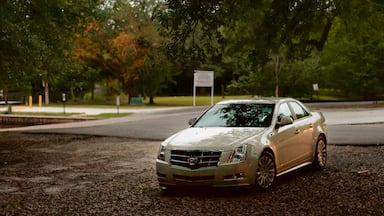 Jean Lafitte Scenic Byway