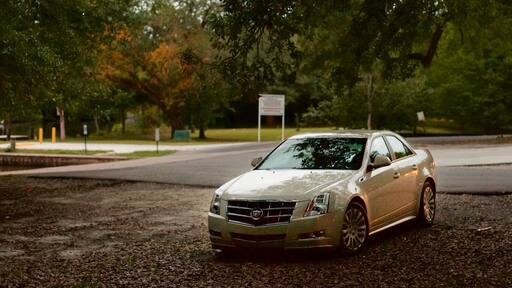 Jean Lafitte Scenic Byway
