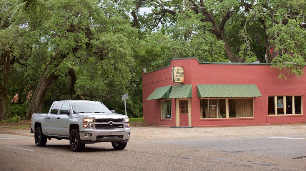 Jean Lafitte Scenic Byway
