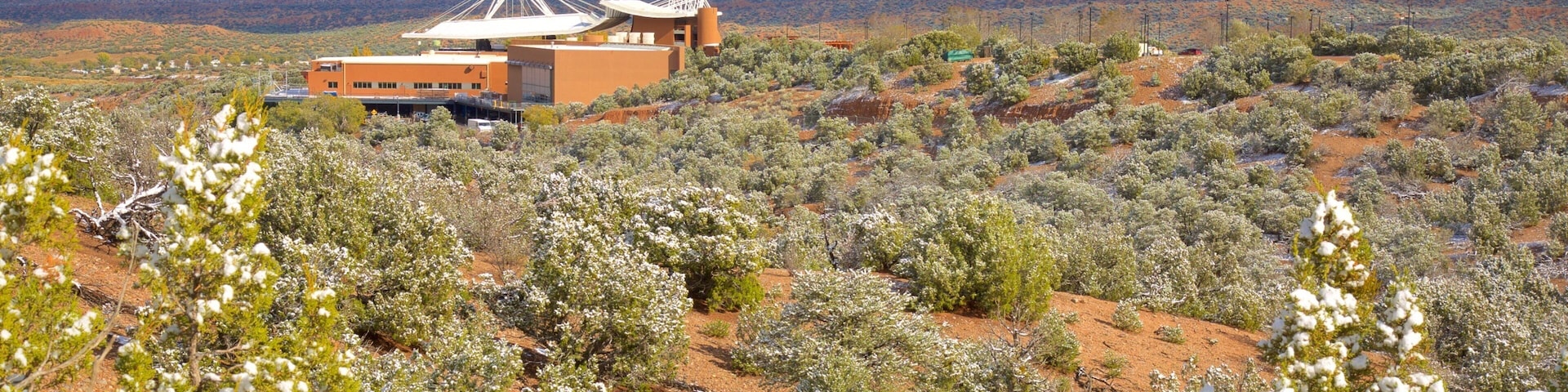 Santa Fe Trail which includes desert views and wildflowers