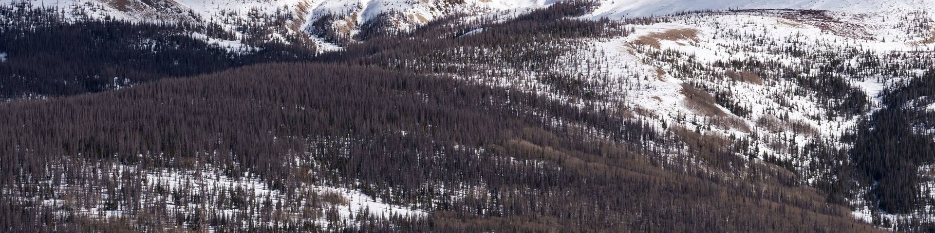 Snow Covered Mountains in Winter with 13,383 Foot Mount Baldy Cinco viewed from the Silver Thread Scenic Byway.