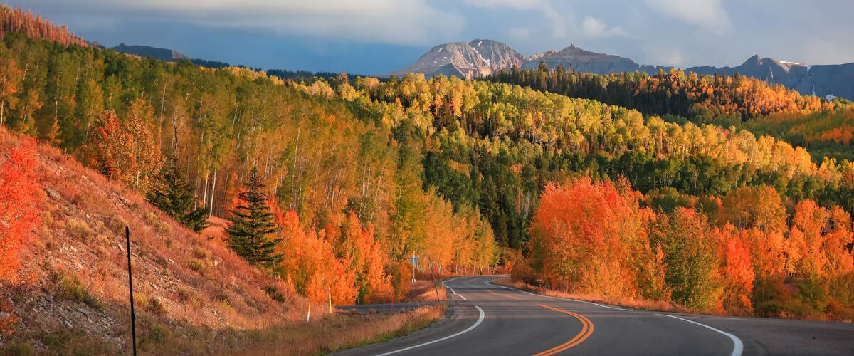 Bright fall foliage along San Juan skyway scenic byway in Colorado